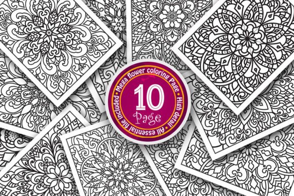 Flower Adult Coloring Book Page Interior Graphics Review