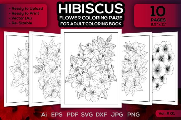 Hibiscus Flower Coloring Page Graphics & Coloring Pages Amp